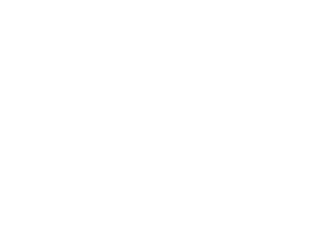 Dr. Metzler Hair Professionals GmbH